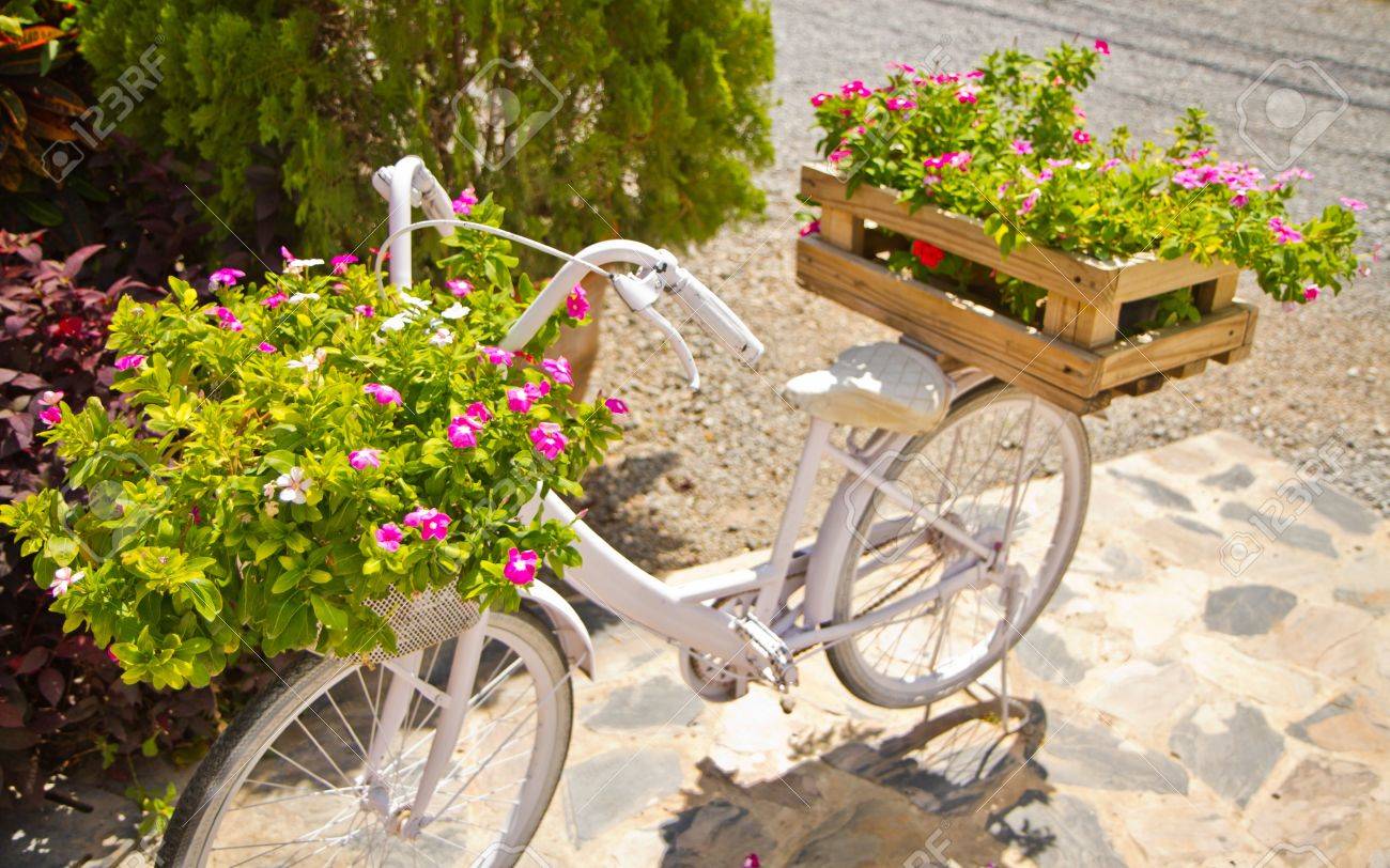 Vit cykel och blommor royalty fria stockfoton, bilder, symboler ...