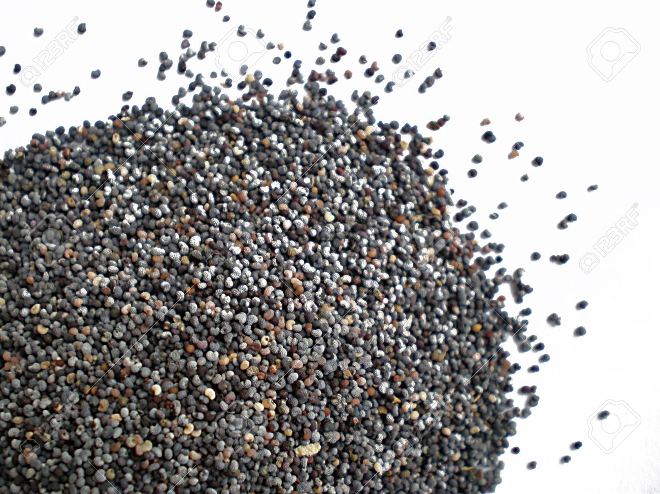 صورة ذات صلة