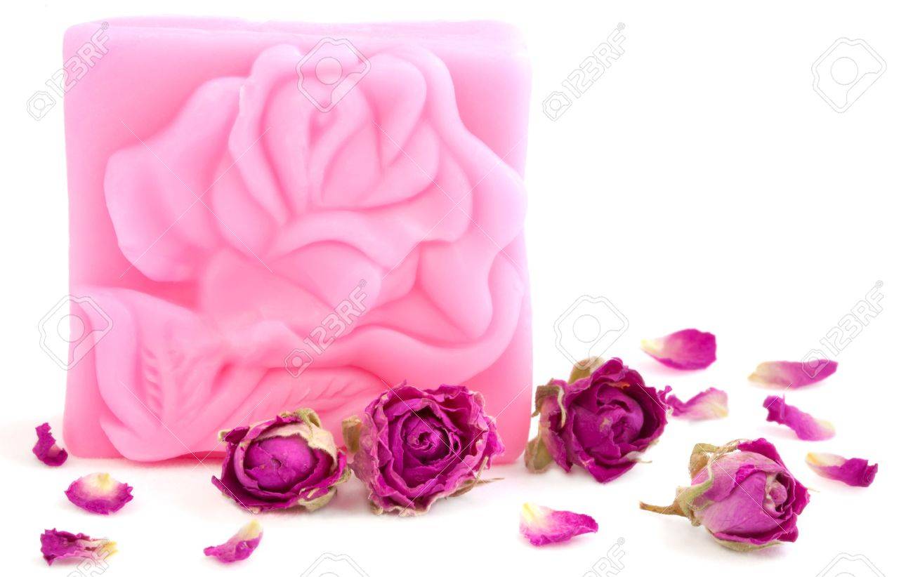 Purple Rose White Background