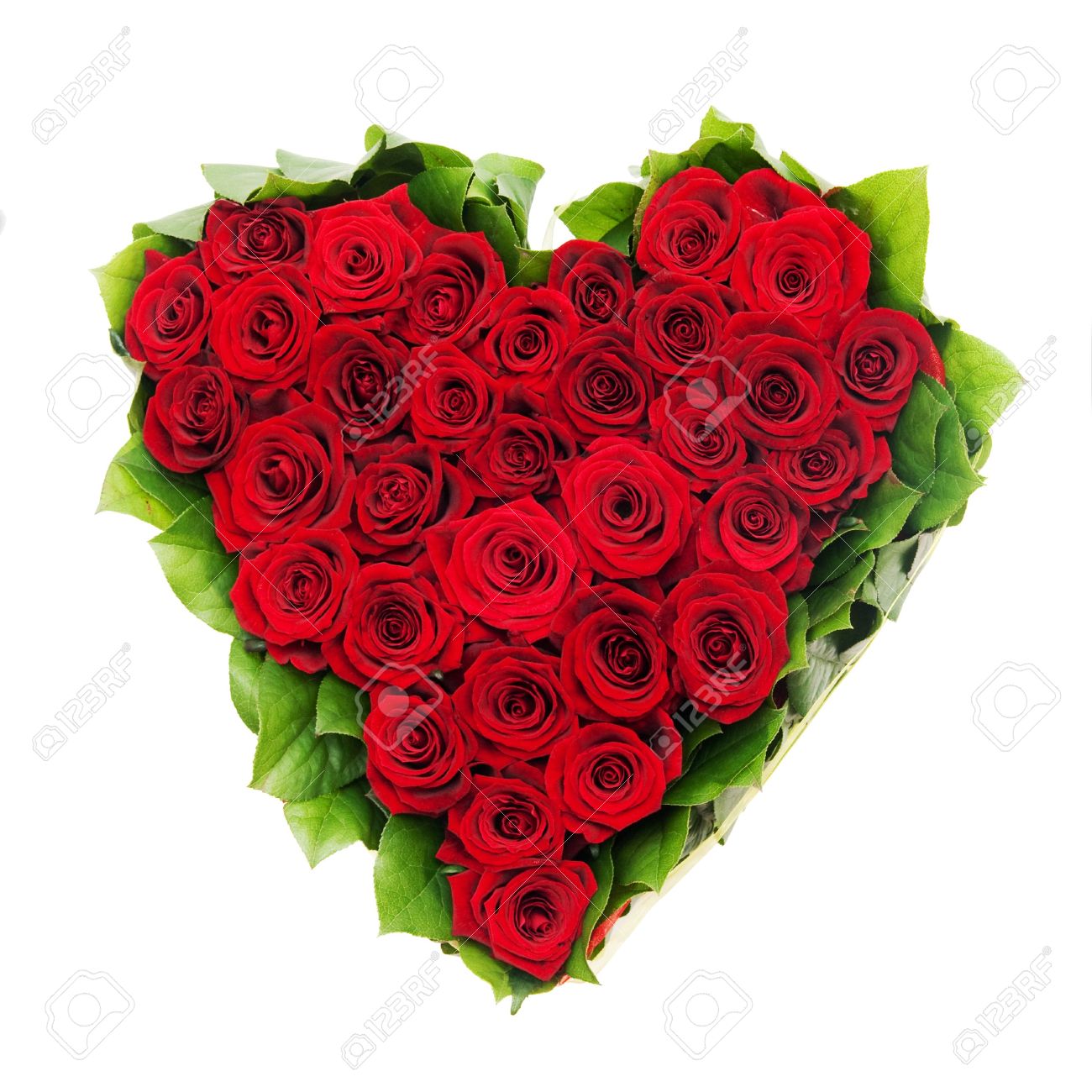 Red Rose Love Heart Red Rose Love Heart