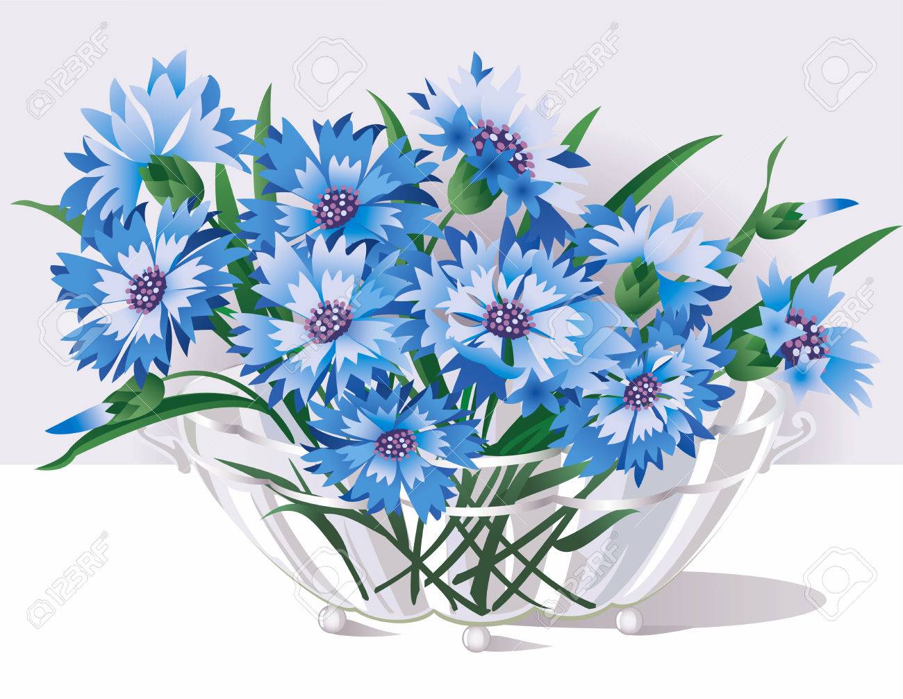 Cornflower Clip Art