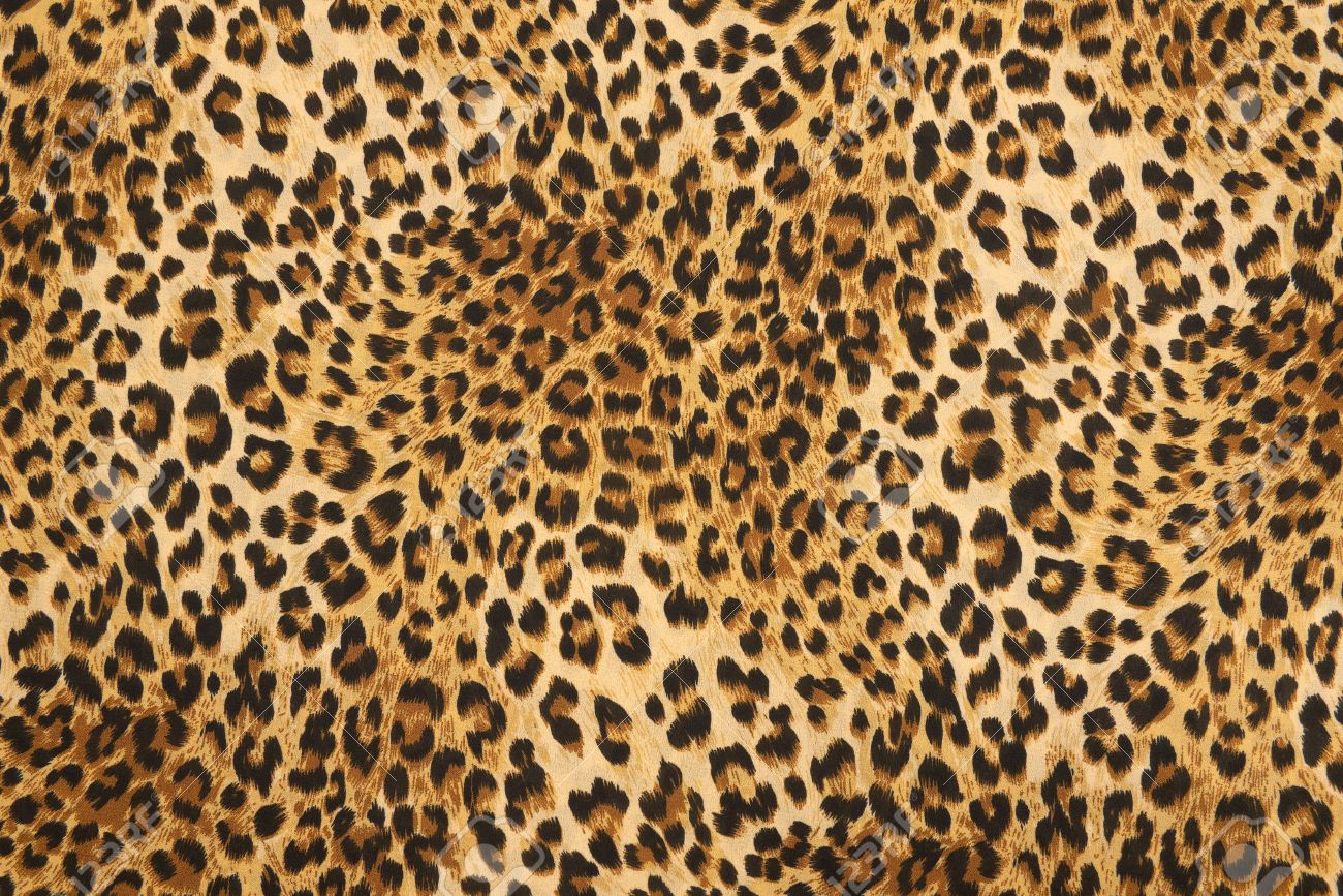 puma texture puma texture