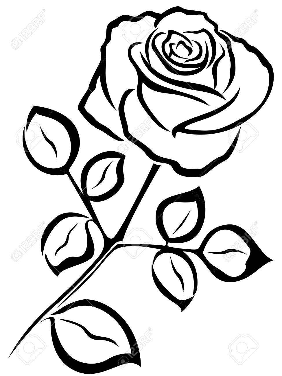 Rose Black And White Outline