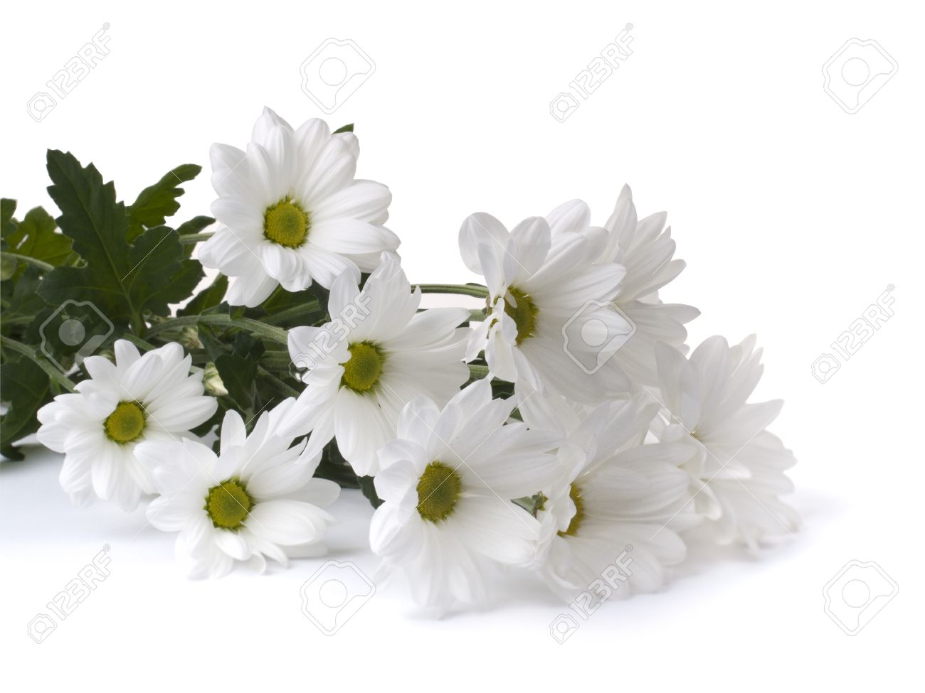 Afficher l'image d'origine