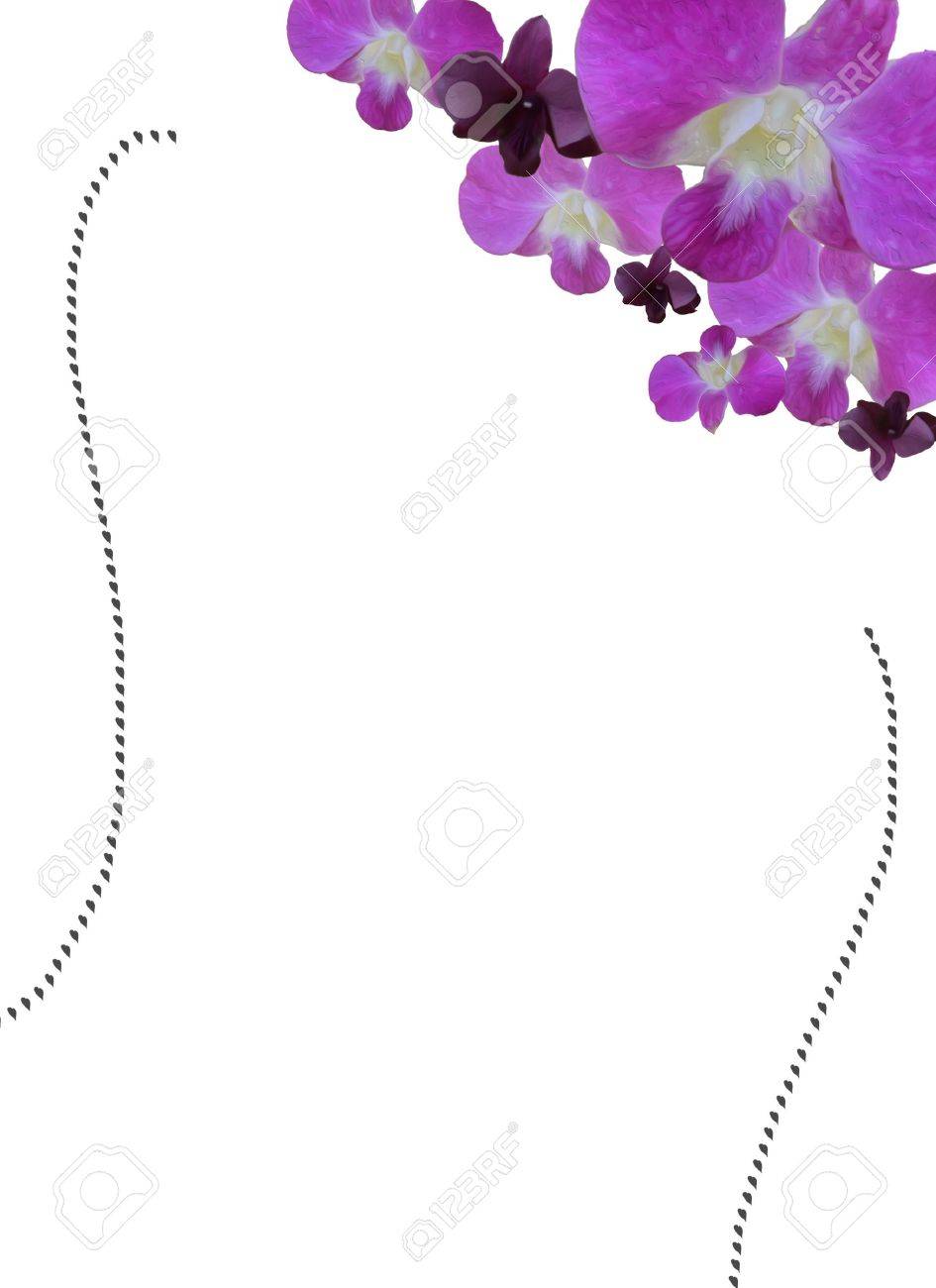 Orchid Clipart Border