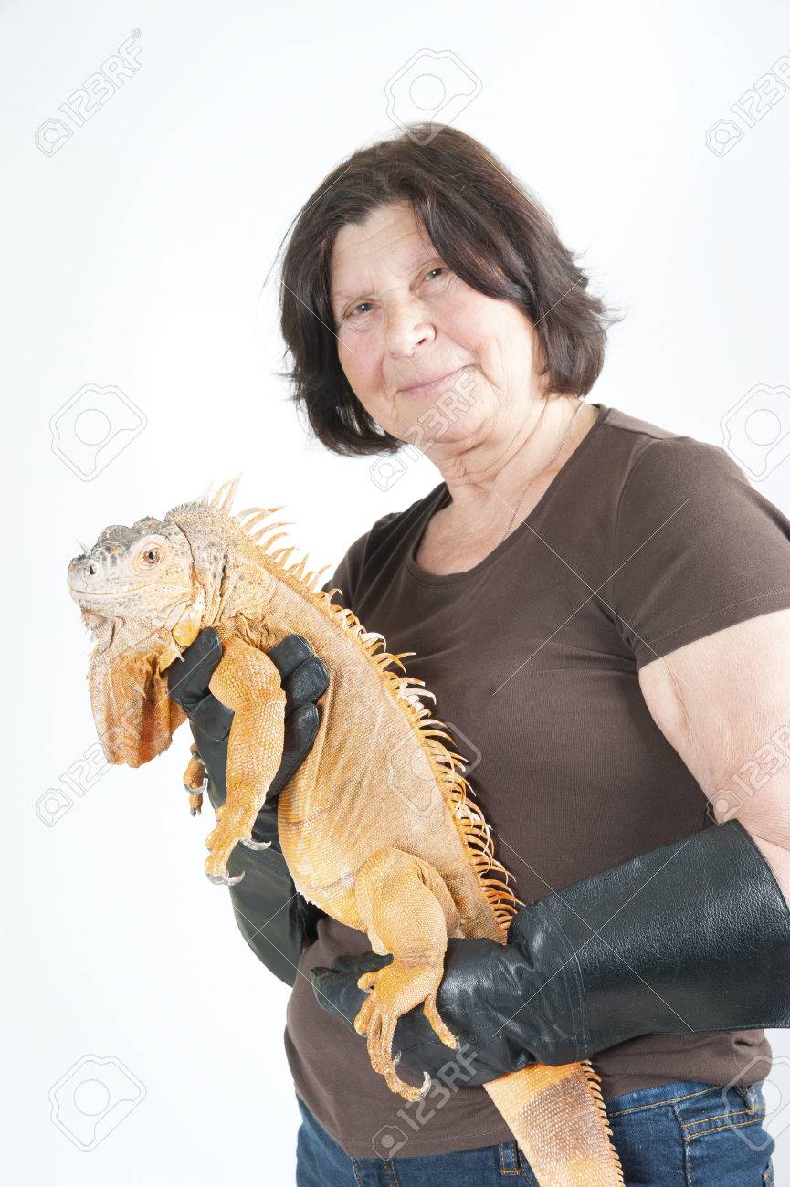 iguana woman iguana woman
