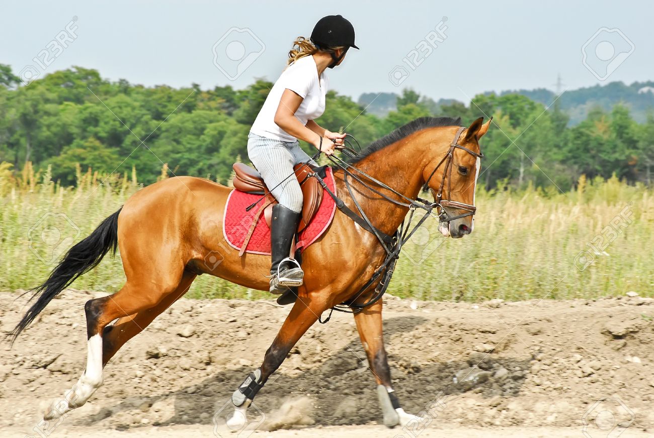 9540176-Girl-is-riding-a-Akhal-Teke-horse-Stock-Photo.jpg