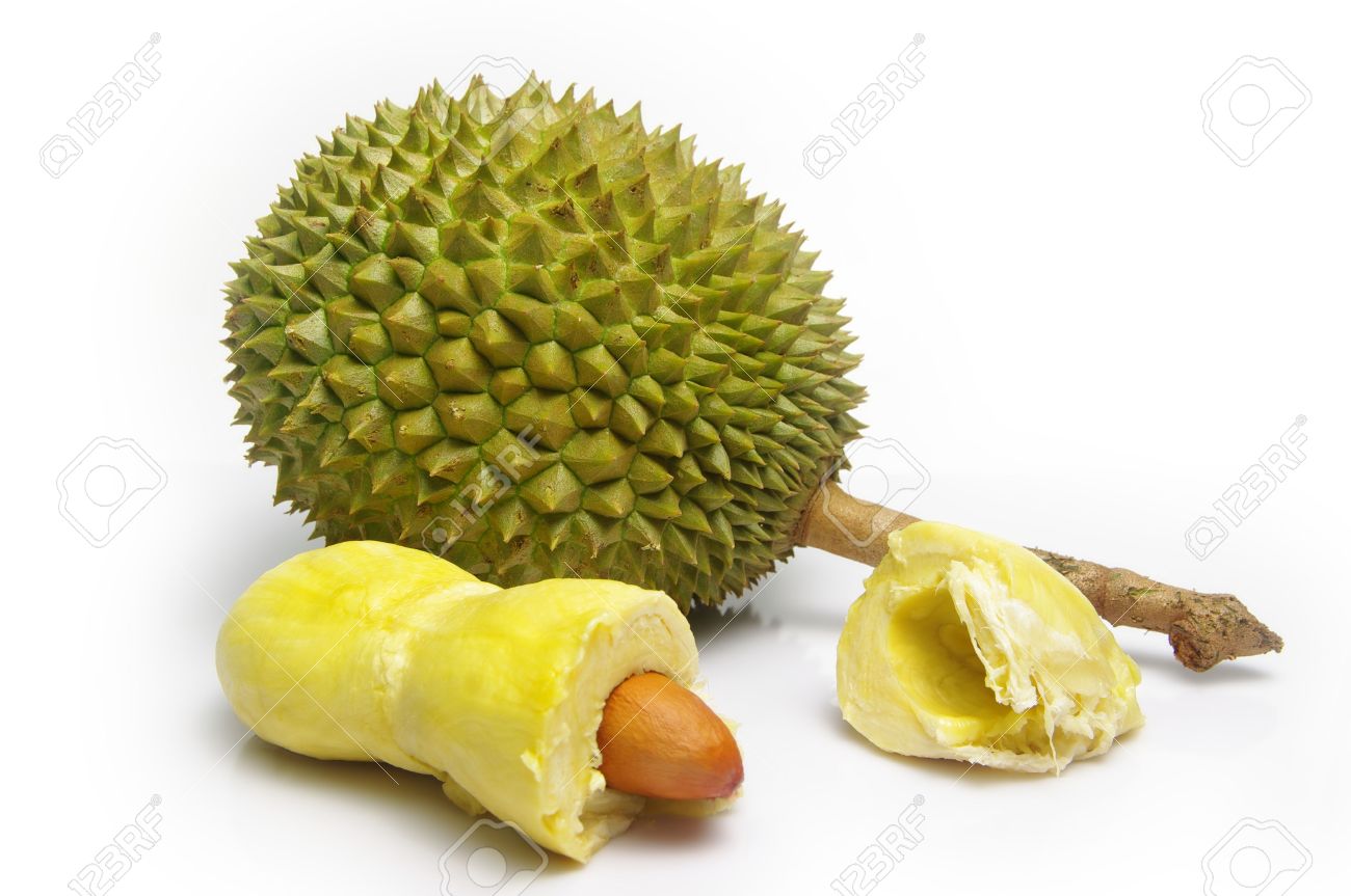 Thorny, Pungent Durian Fruit (Durio Zibethinus). Whole Fruit ...