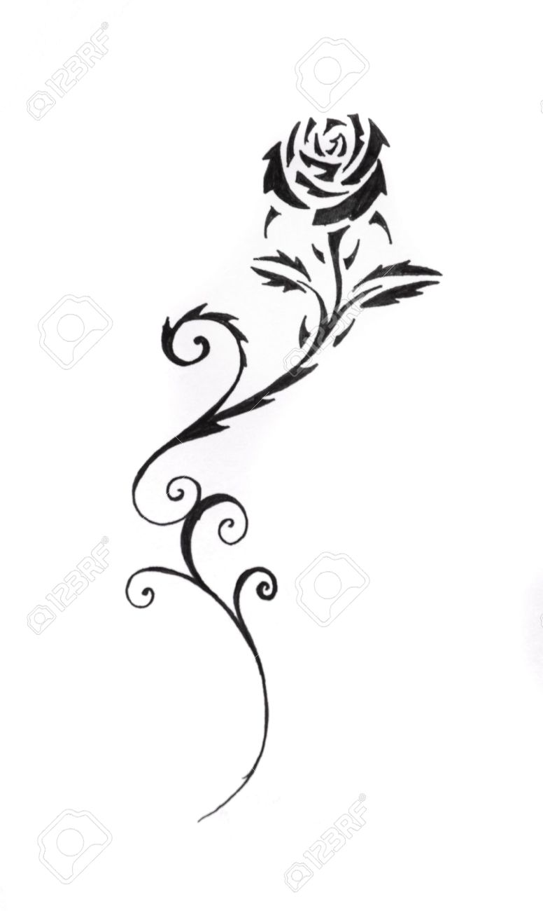 Black Rose Drawing Black Rose Drawing