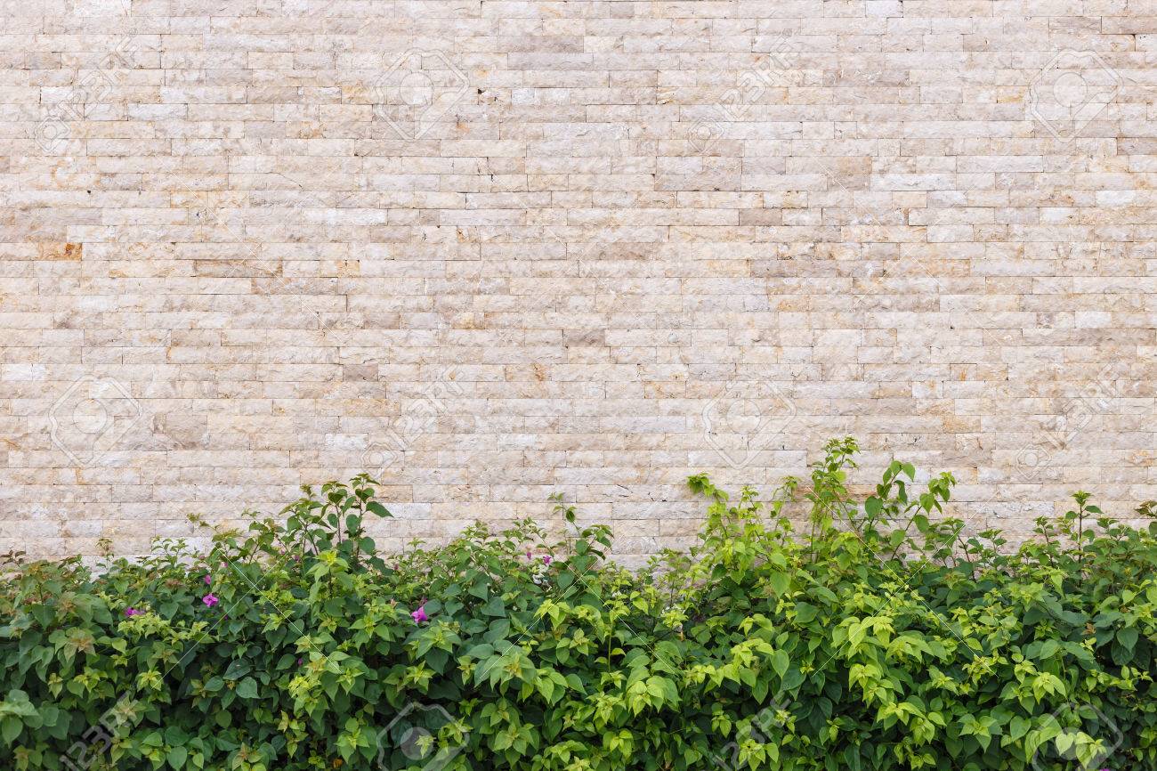 travertine stone wall and decorative garden stock photo, picture travertine stone wall and decorative garden stock photo, picture