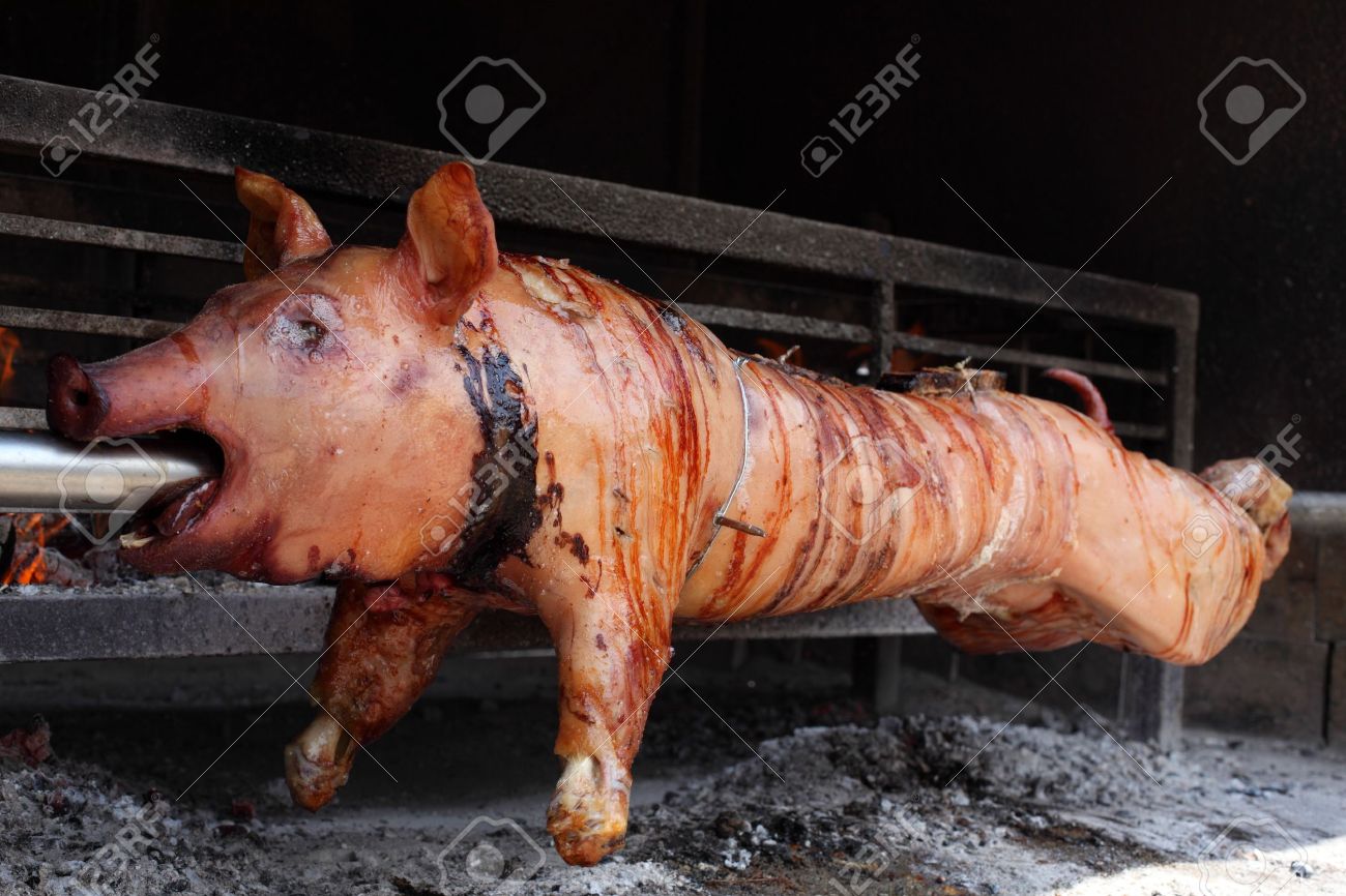 10049813-Roast-pig-on-a-barbecue-Stock-Photo-spit.jpg