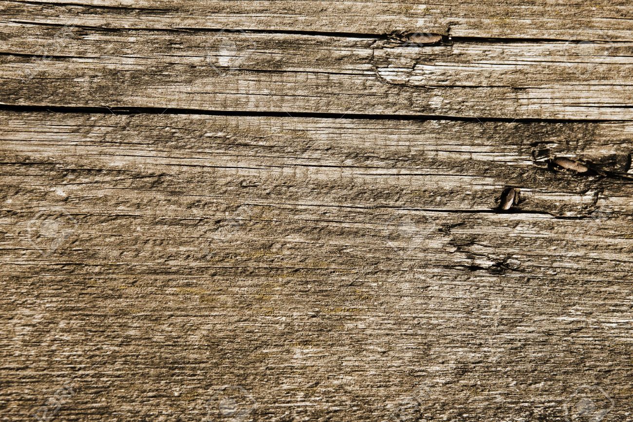 Sable German Shepherd Puppies