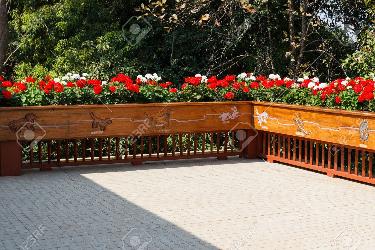 Aiuola decorare sulla ringhiera di legno della terrazza foto ... Terrazza decorazione Piante