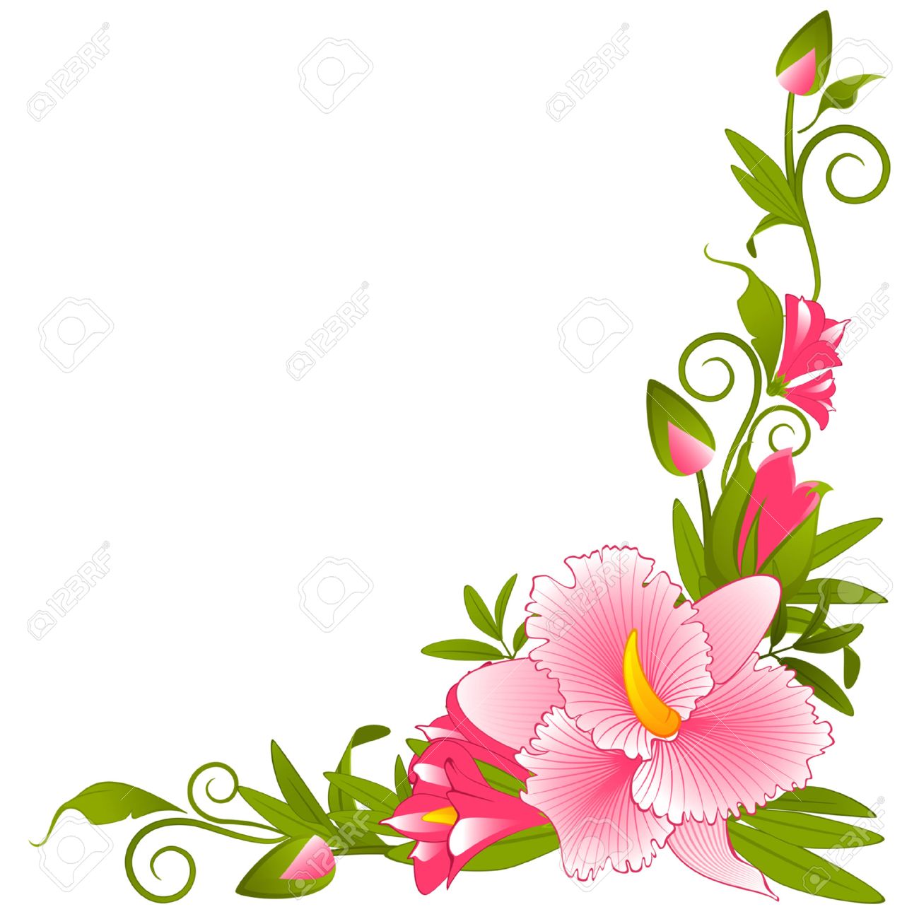 Orchid Clipart Border Orchid Clipart Border