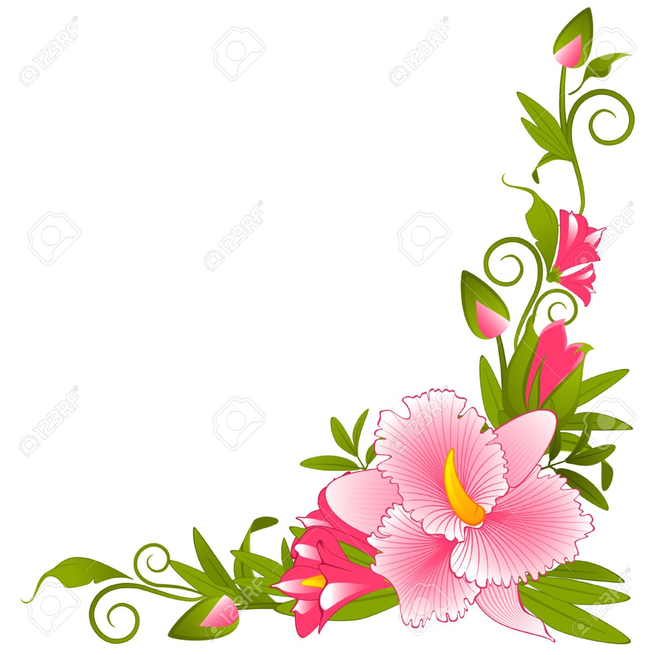 Orchid Clipart Border