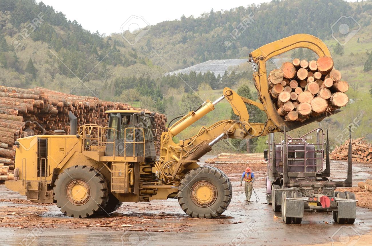 20823721-A-large-wheeled-front-end-log-loader-unloading-a-log-truck-at-a-log-yard-at-a-lumber-processing-mill-Stock-Photo.jpg