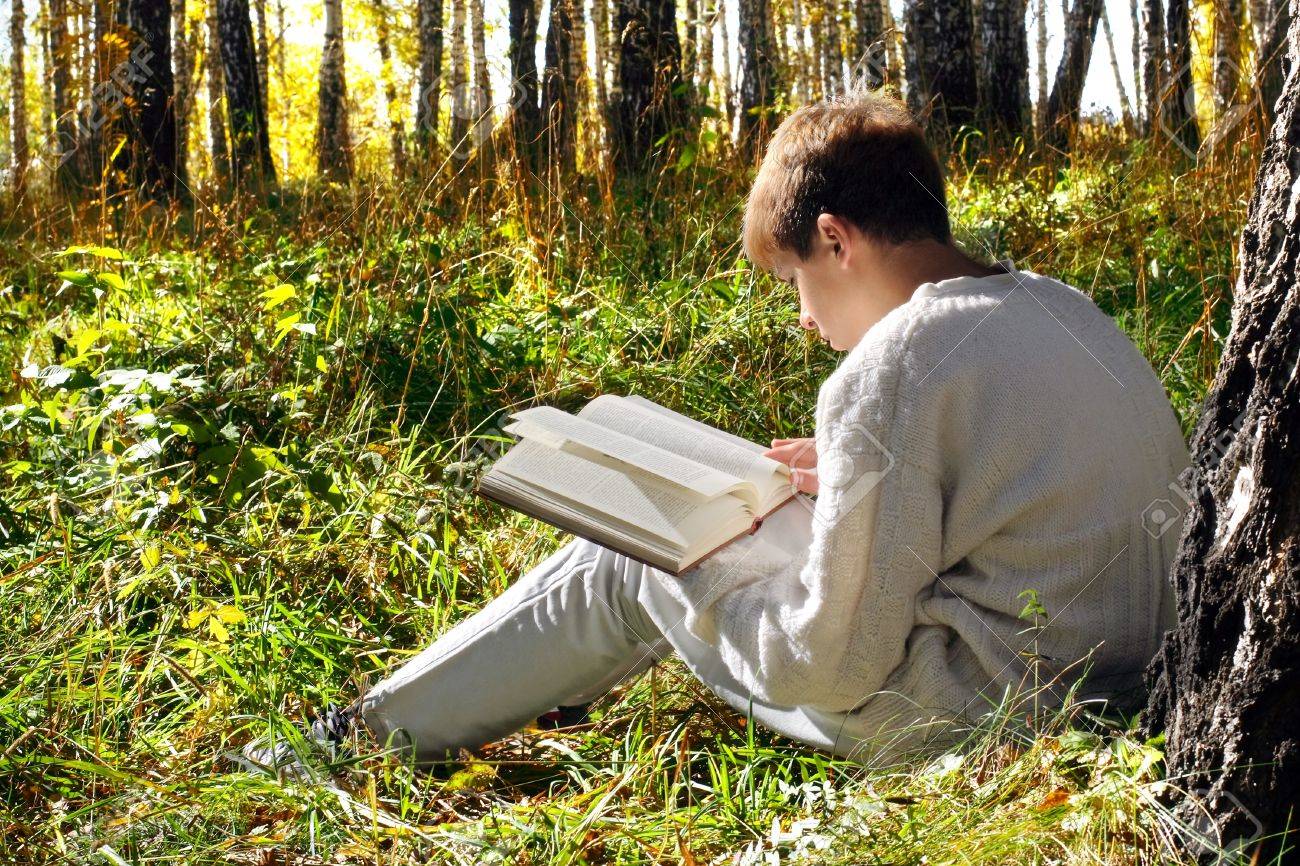 Afficher l'image d'origine