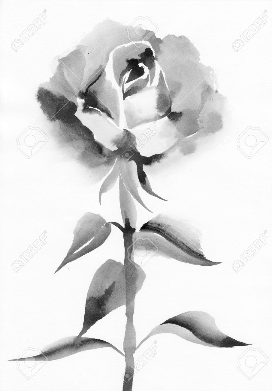 Black And White Rose Painting Black And White Rose Painting