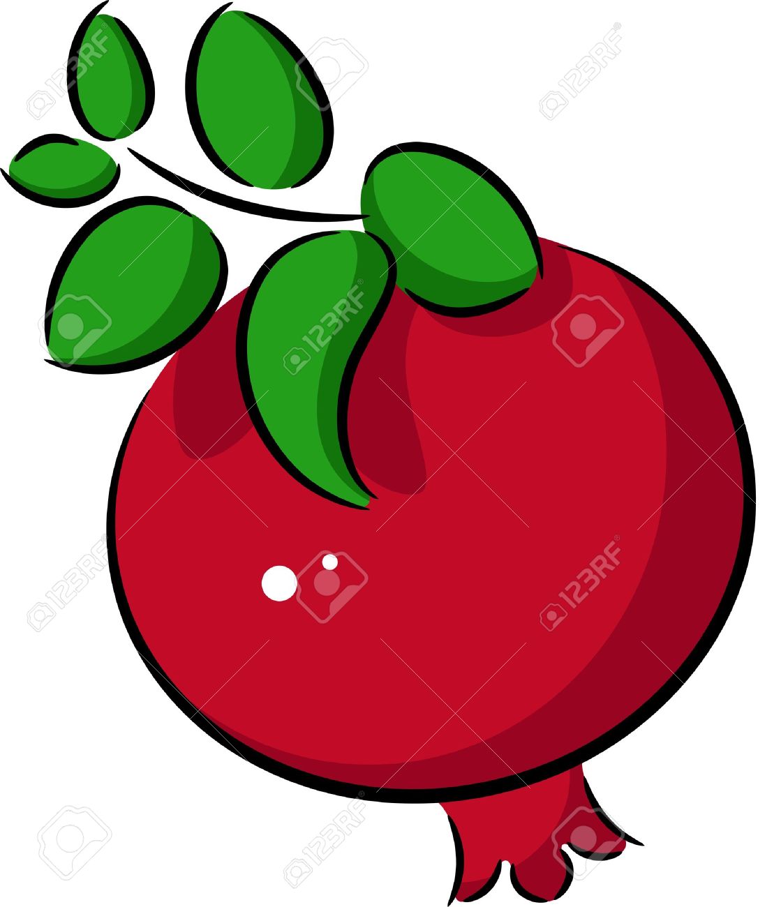 Clip Art Pomegranate Clipart illustration of ripe pomegranate fruit isolated royalty free stock vector 11664670