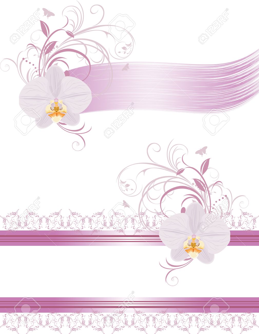 Orchid Clipart Border