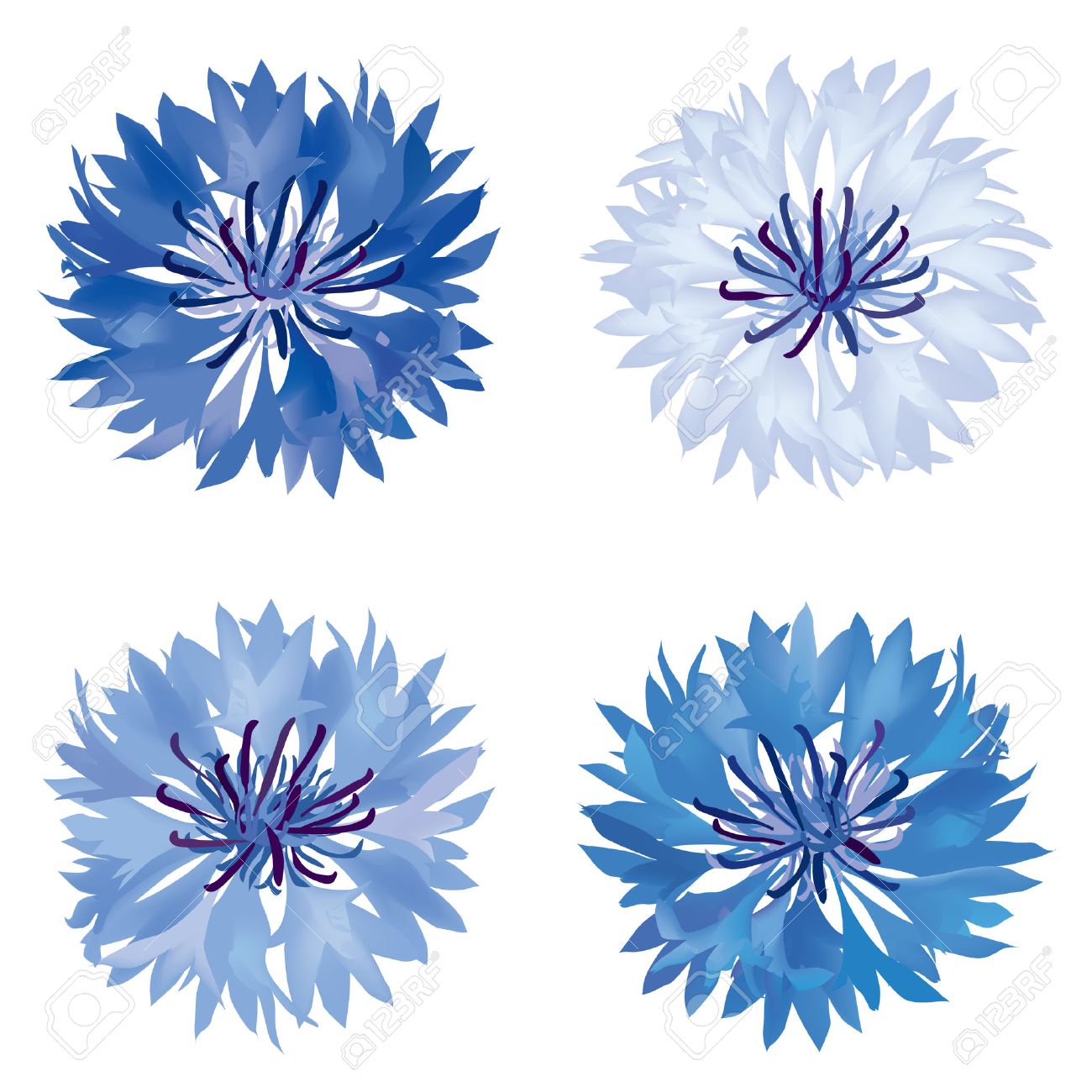 cornflower blue clip art