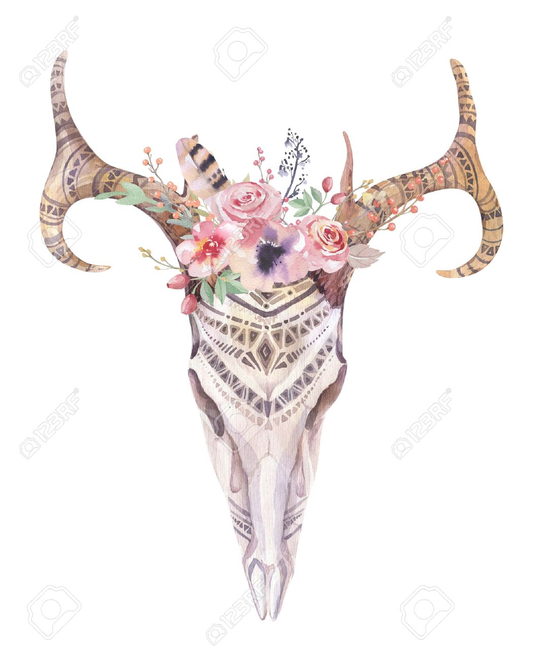 Watercolor bohemian deer skull. western mammals. watercolour ...