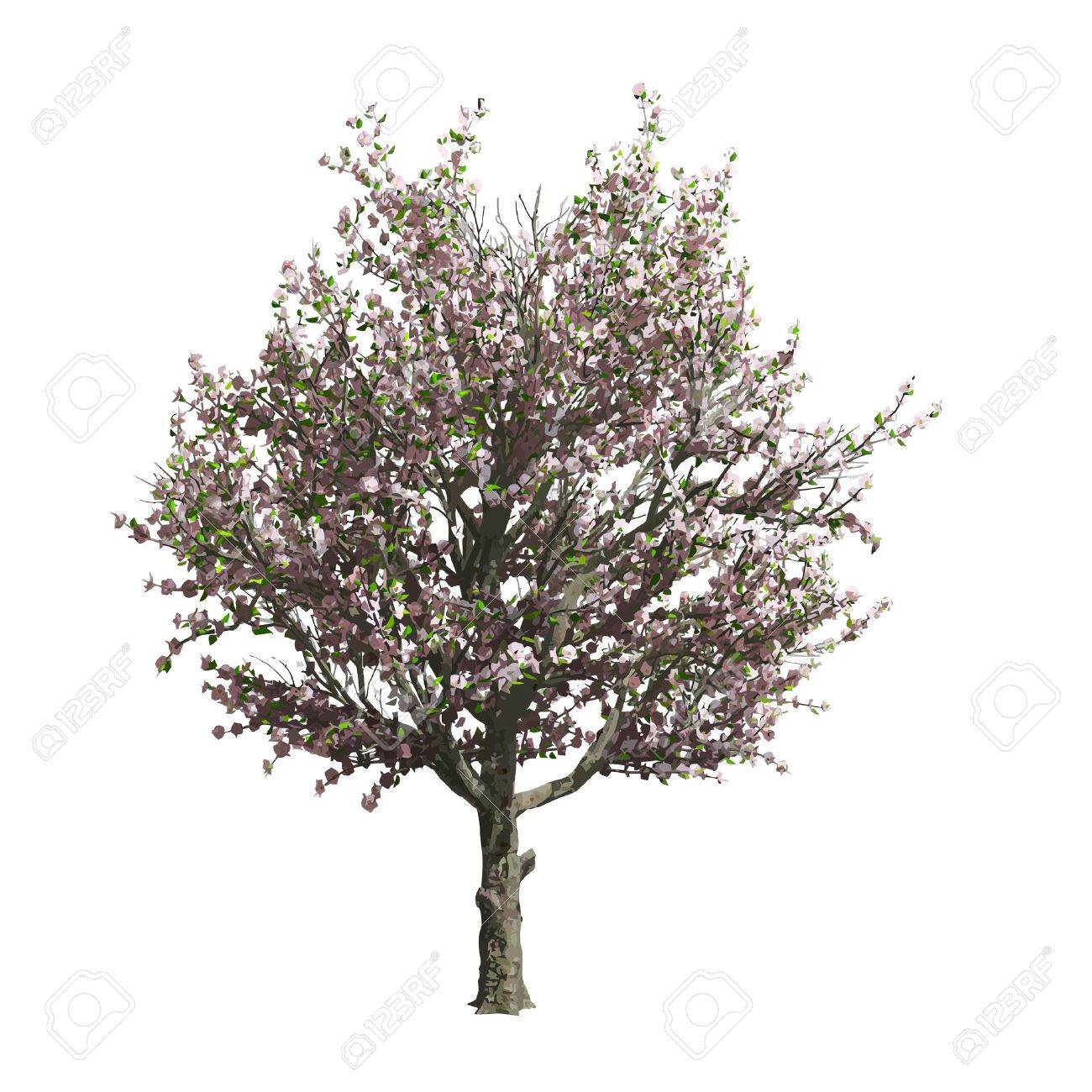 apple tree isolated vector apple tree silhouette vector