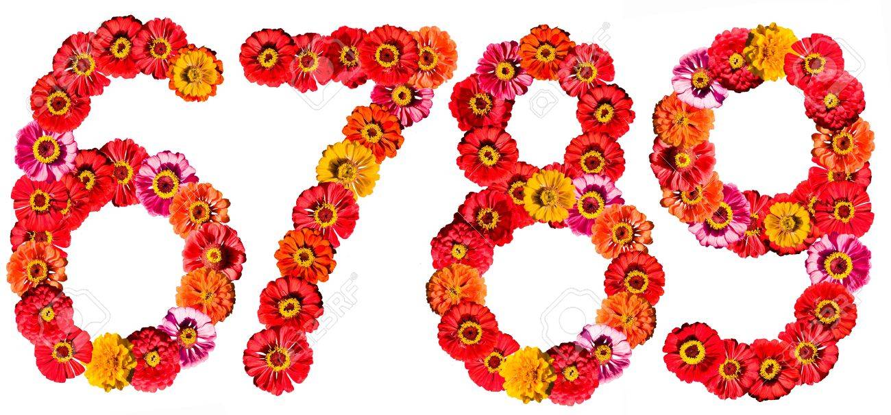 Image result for 6789