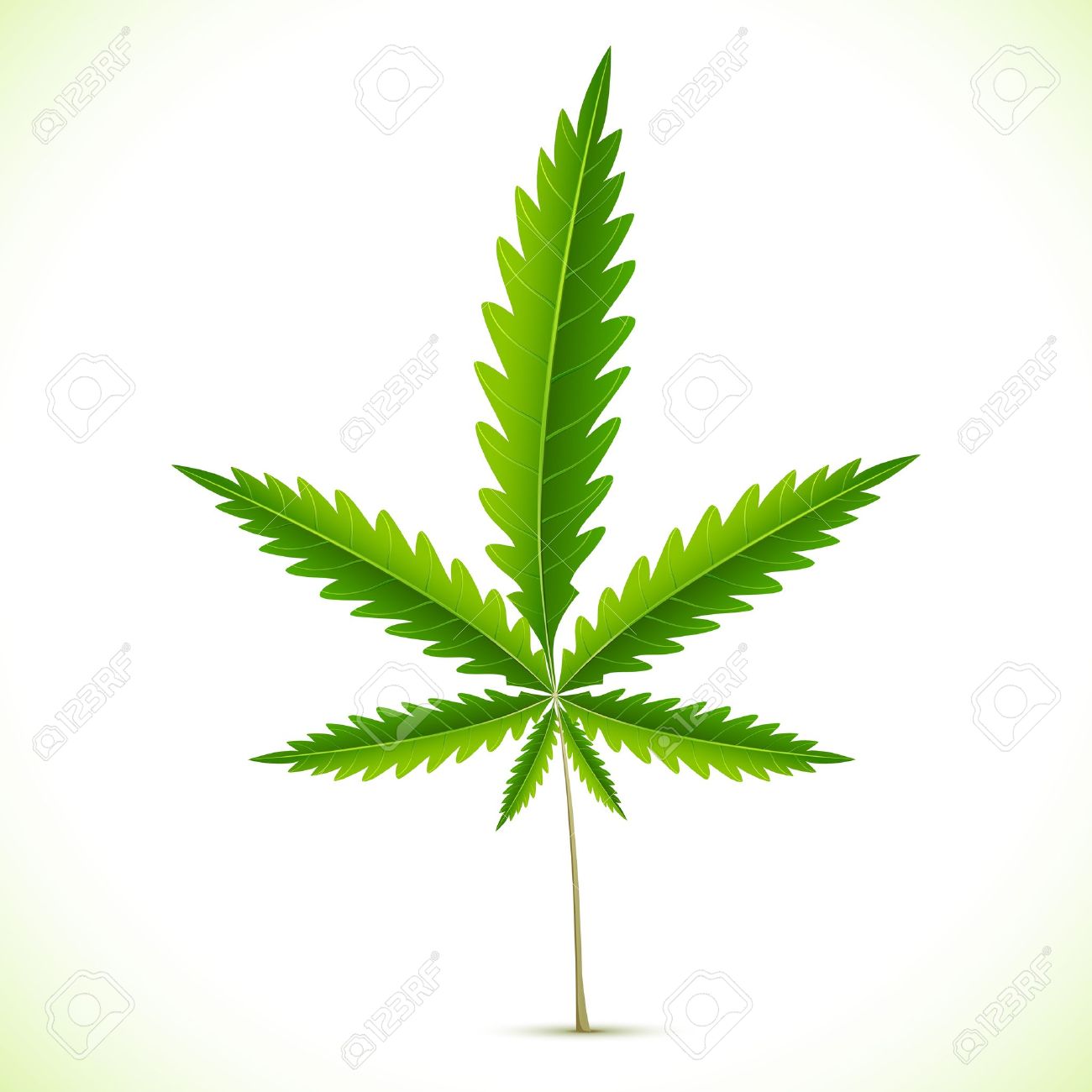 Wallpaper Foglia di Marijuana Wallpaper Foglia di Marijuana