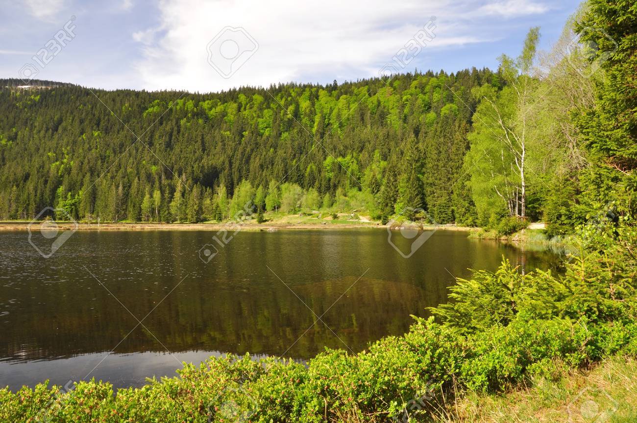 Ähnliches Foto