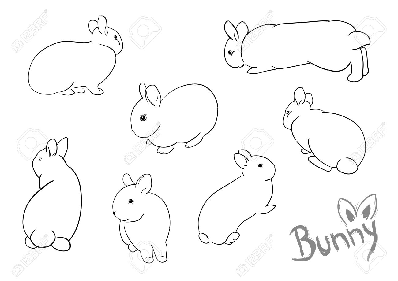 rabbit drawing outline