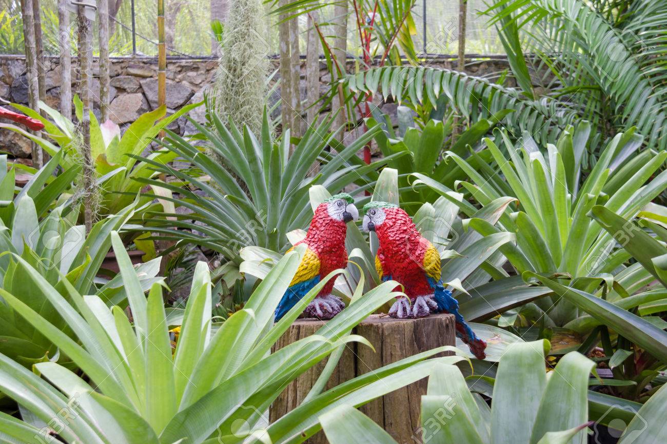the synthetic parrot as garden decoration in nong nooch tropical the synthetic parrot as garden decoration in nong nooch tropical