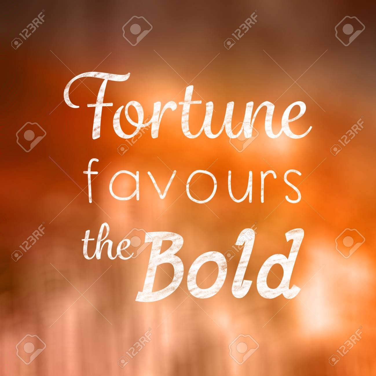 Fortune Favours The Bold Essay