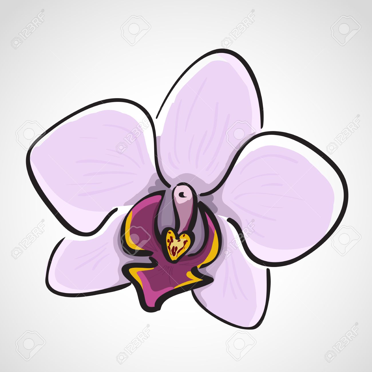 Purple Orchid Drawing Purple Orchid Drawing