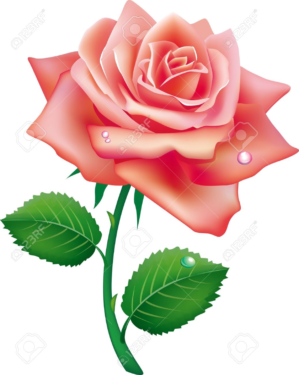 Single Pink Rose Clip Art