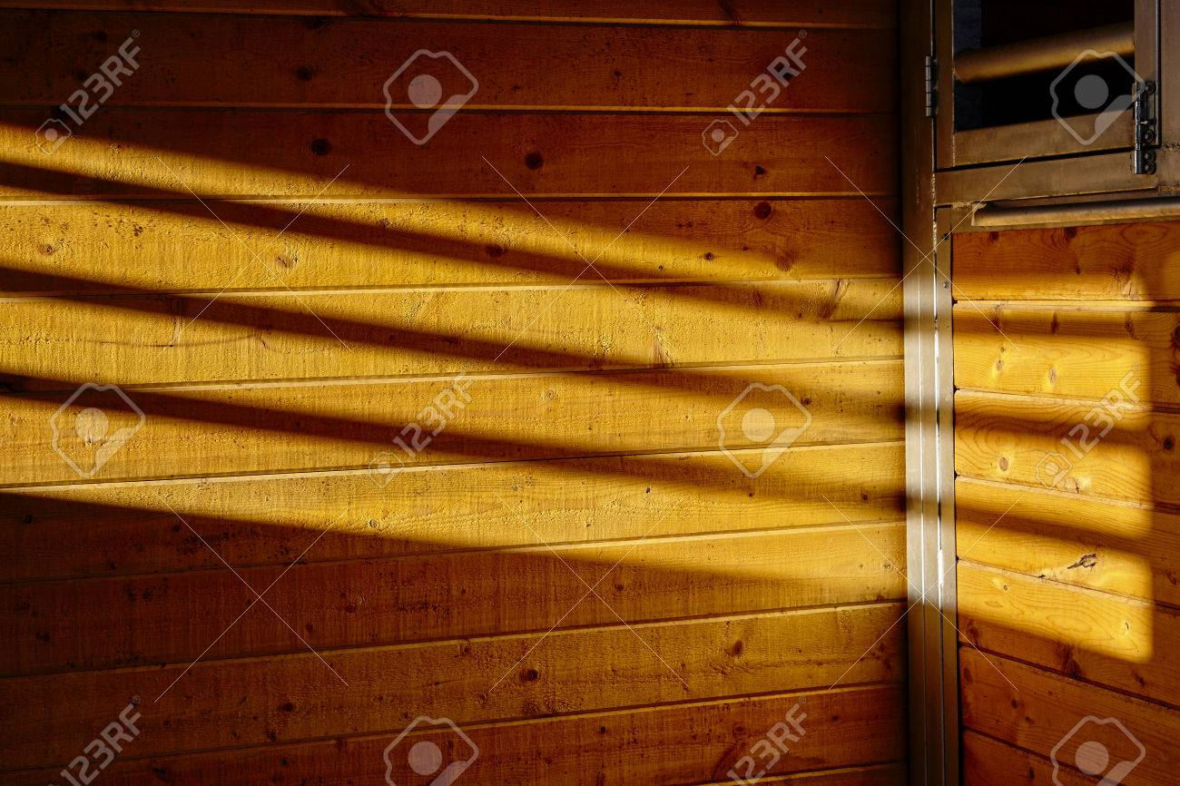 Assi di legno per pareti: plancia di legno spiaggia con crepe ...