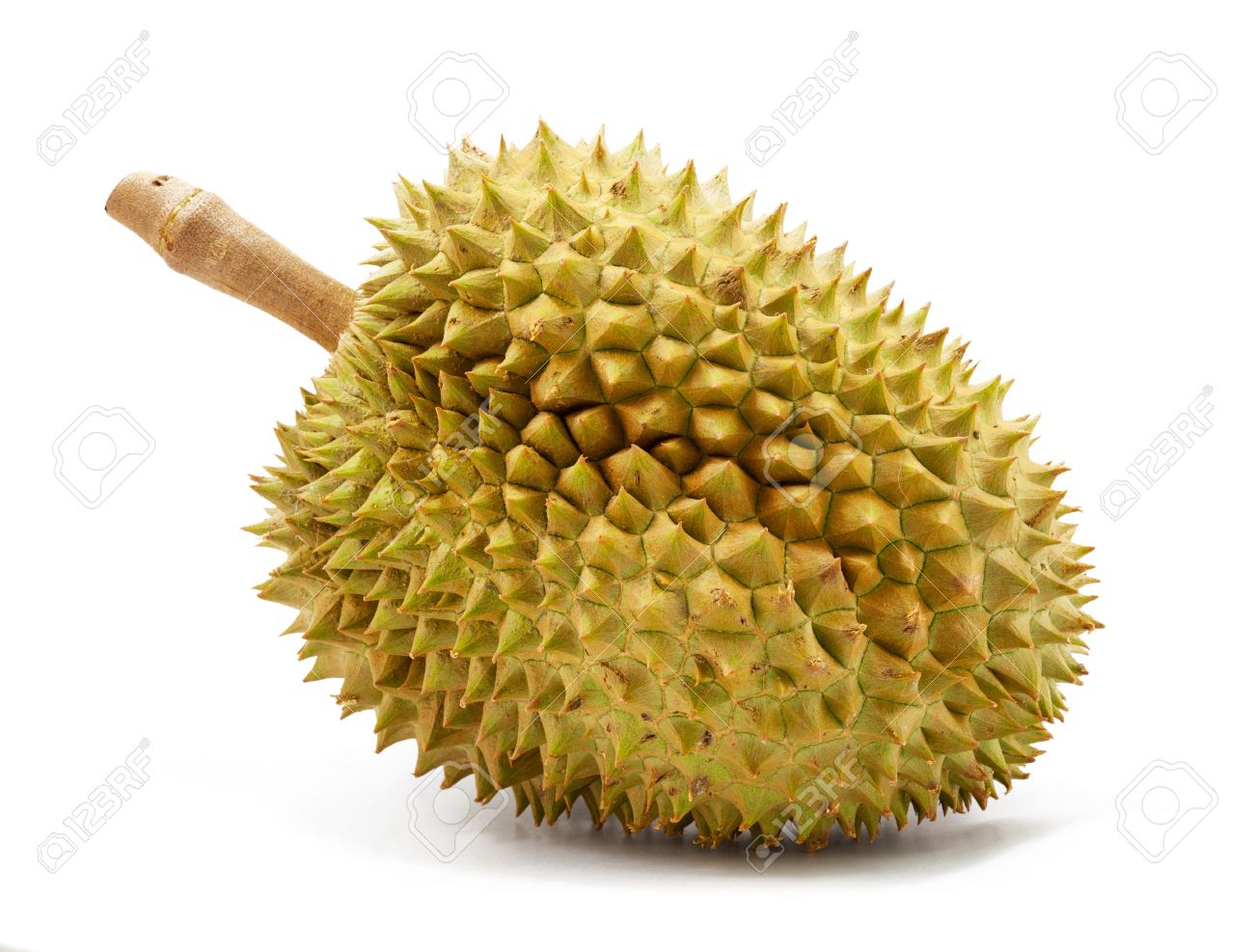 Durian Isolated On White Background Stock Photo, Picture And ...