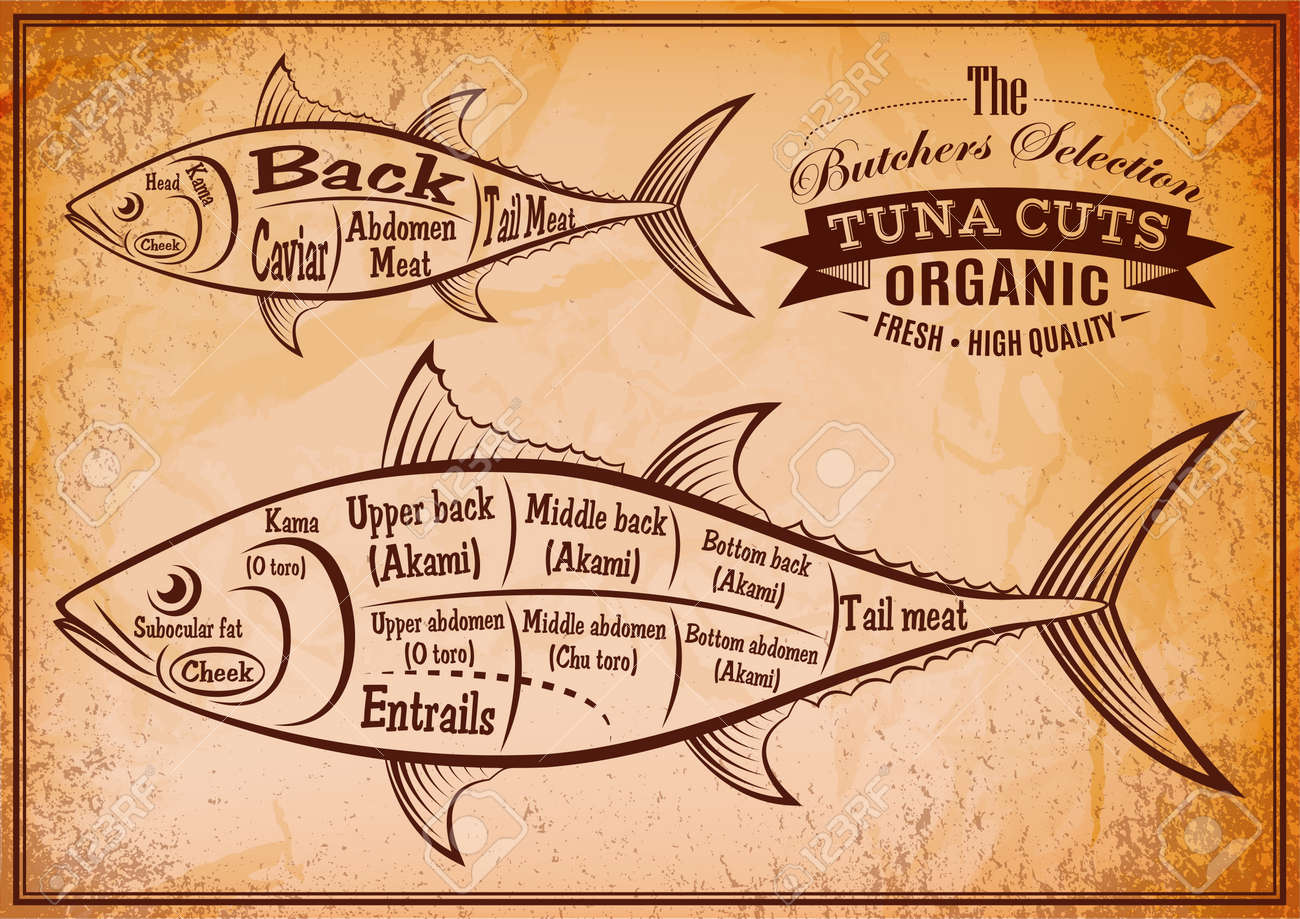 マグロの食肉処理の詳細な図とレトロなポスターのイラスト素材 ベクタ Image