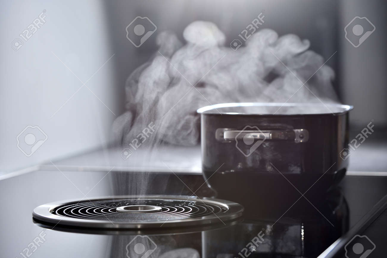 induction cooker with hood