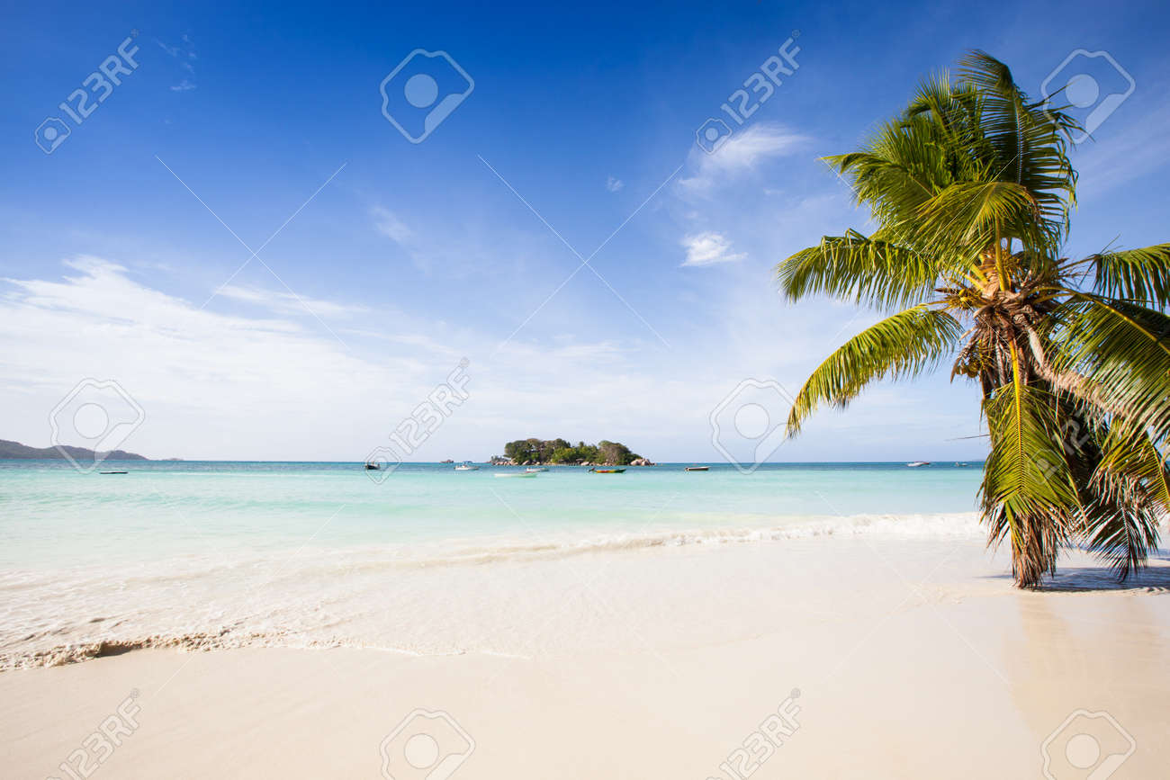 Vue Dune Belle Plage Avec Des Palmiers Sur Une île Tropicale Dans Une Mer Turquoise Sous Un Ciel Bleu Seychelles Praslin