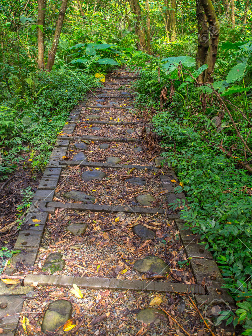 gravel trail