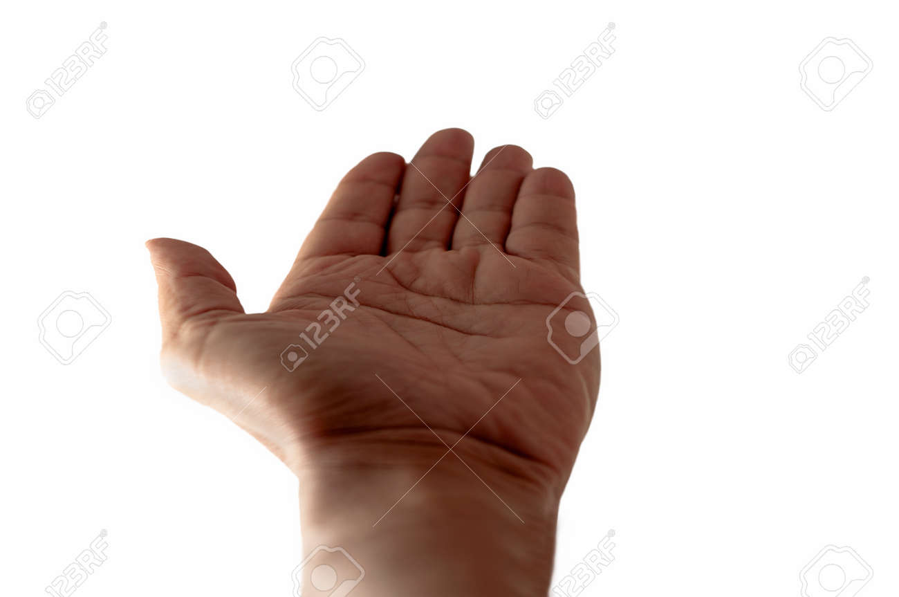 etiam-dictum-ipsum-a-felis