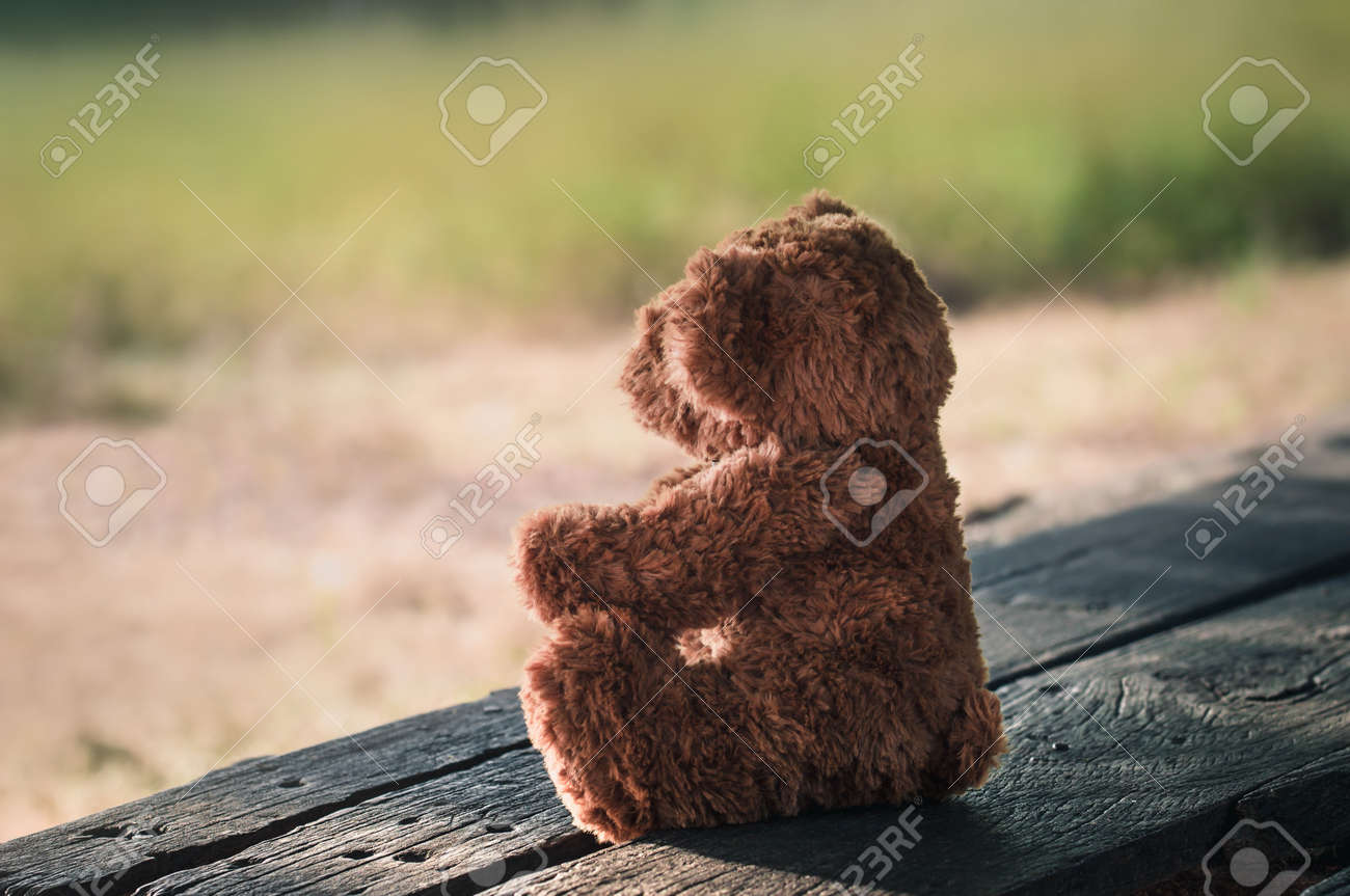 Bear Archivi Fotografici Foto Teddy FreeImmaginiImmagini E Solitario Royalty 80OPZkNnwX