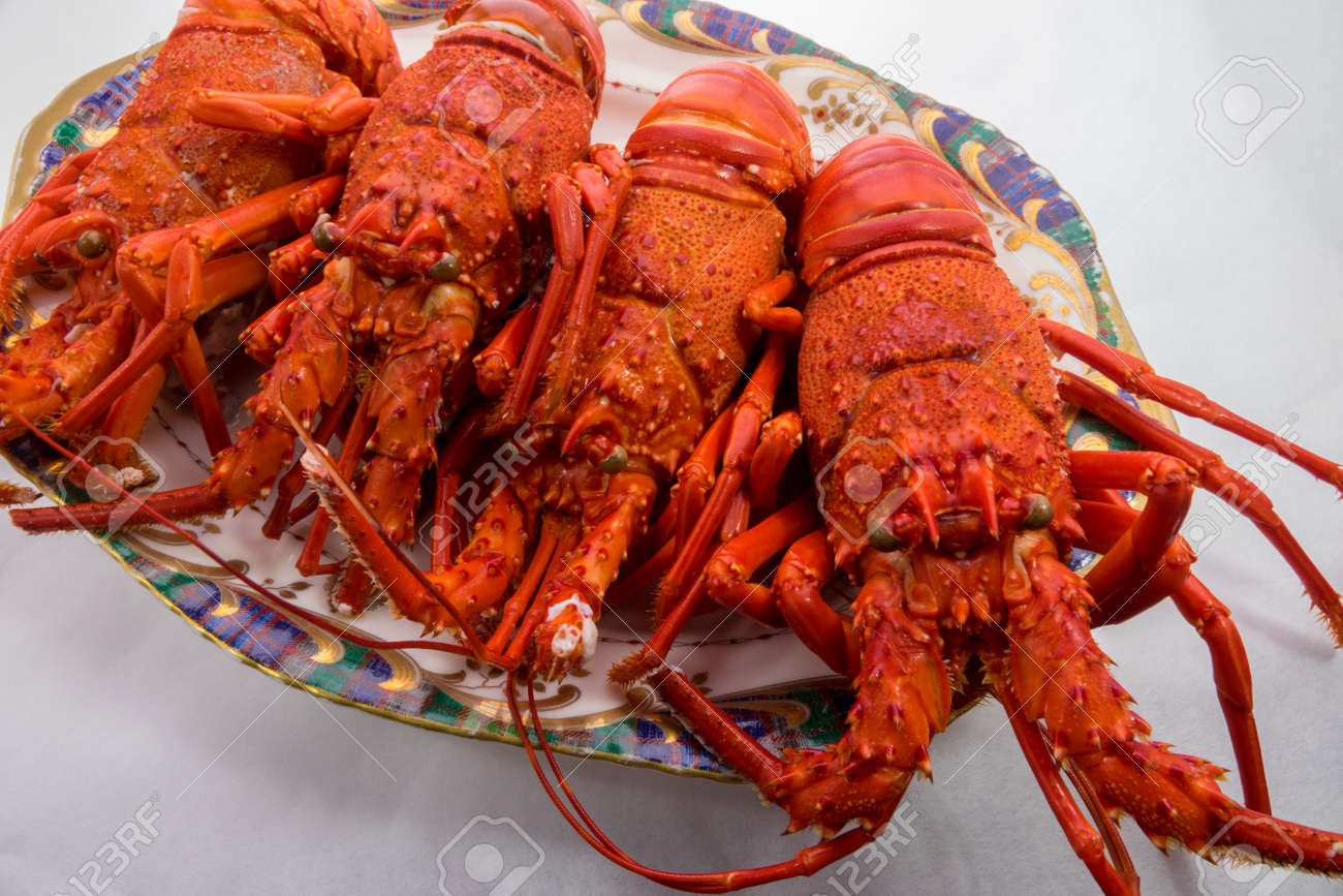 Boiled Spiny Lobster Stock Photo, Picture and Royalty Free Image. Image  65029679.