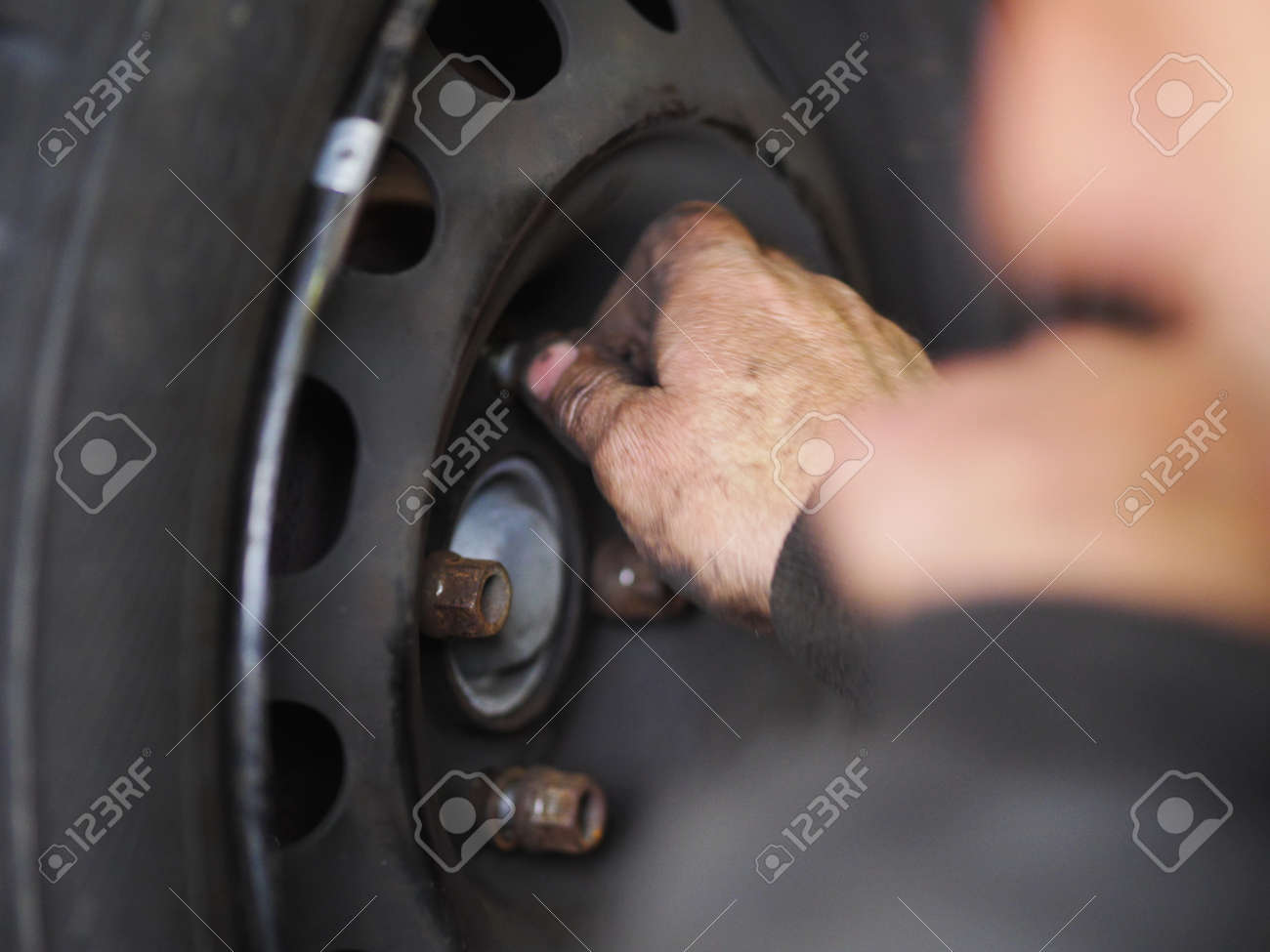 etiam-dictum-ipsum-a-felis