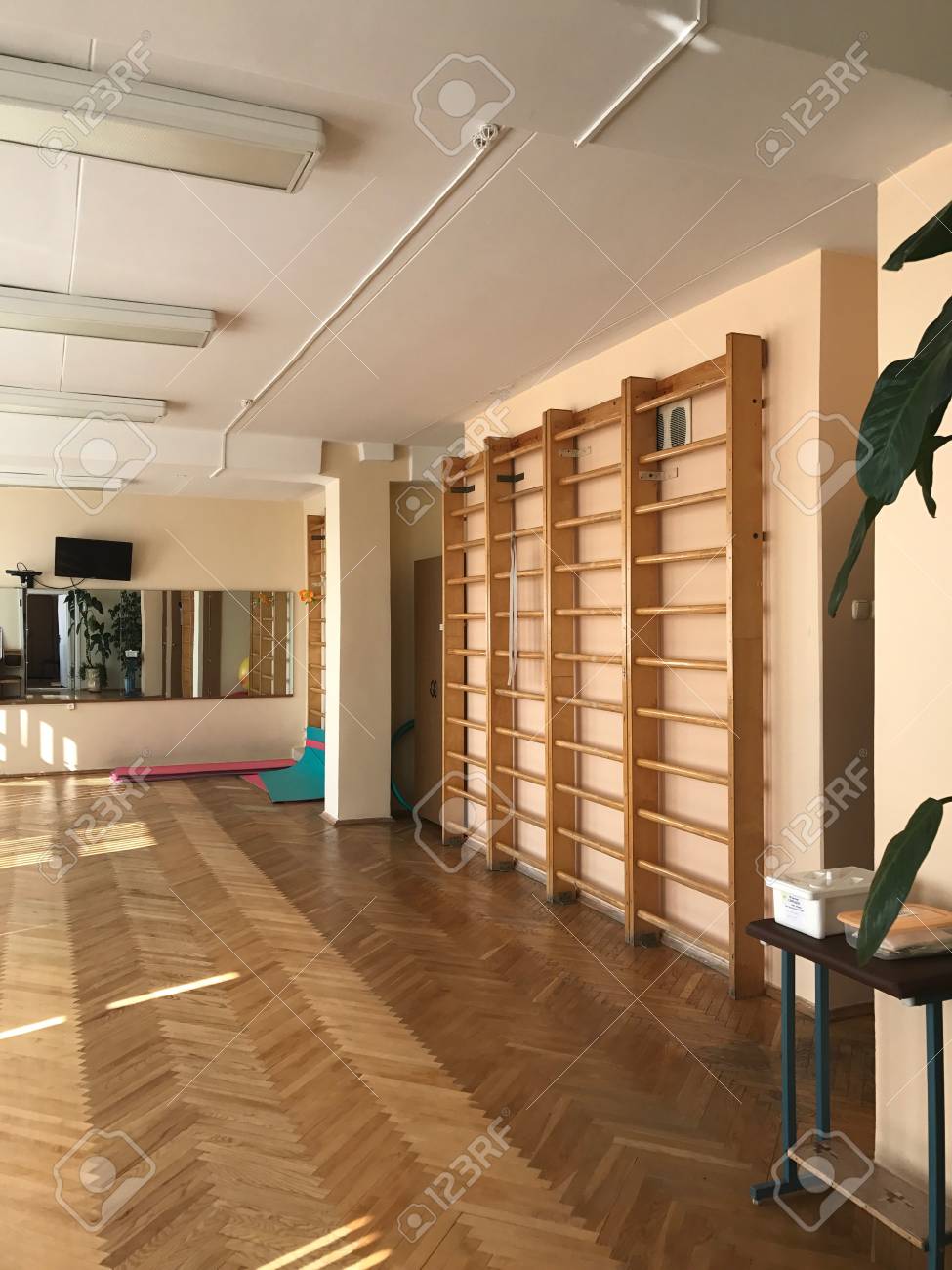 Equipo De La Sala De Entrenamiento Fisico Terapeutico Las