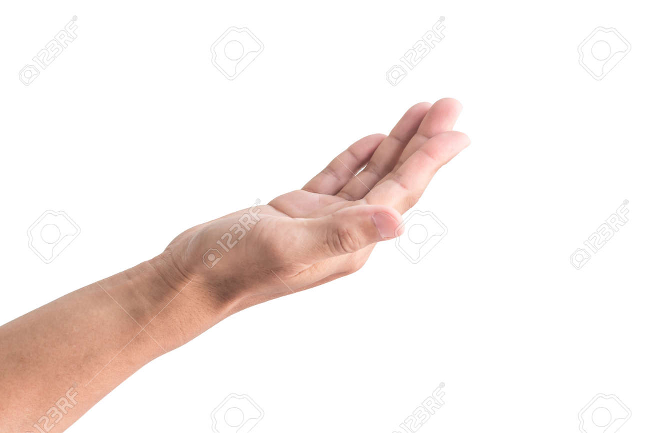 etiam-dictum-ipsum-a-felis