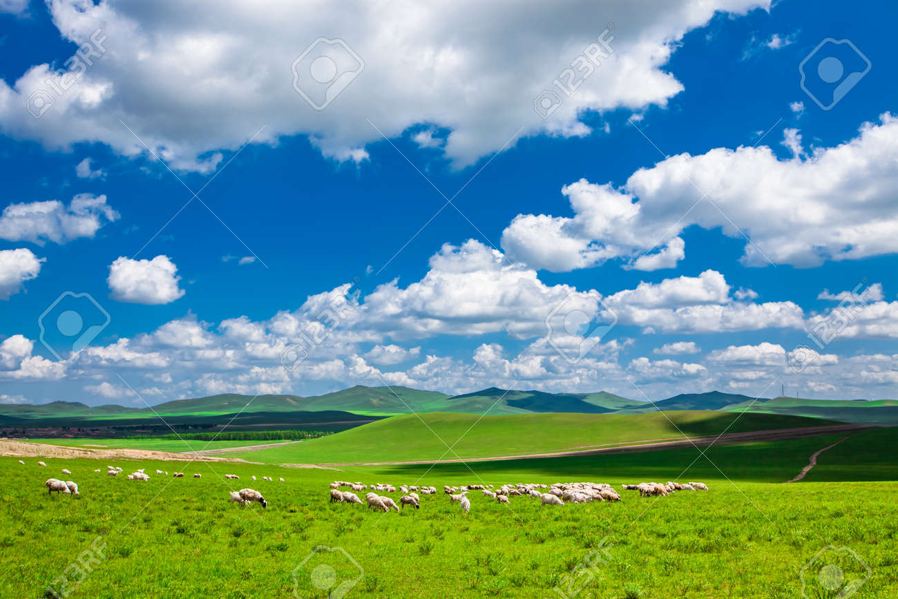 Grasland Schoner Hintergrund Lizenzfreie Fotos Bilder Und Stock Fotografie Image Grasland Schoner Hintergrund Lizenzfreie Fotos Bilder Und Stock Fotografie Image