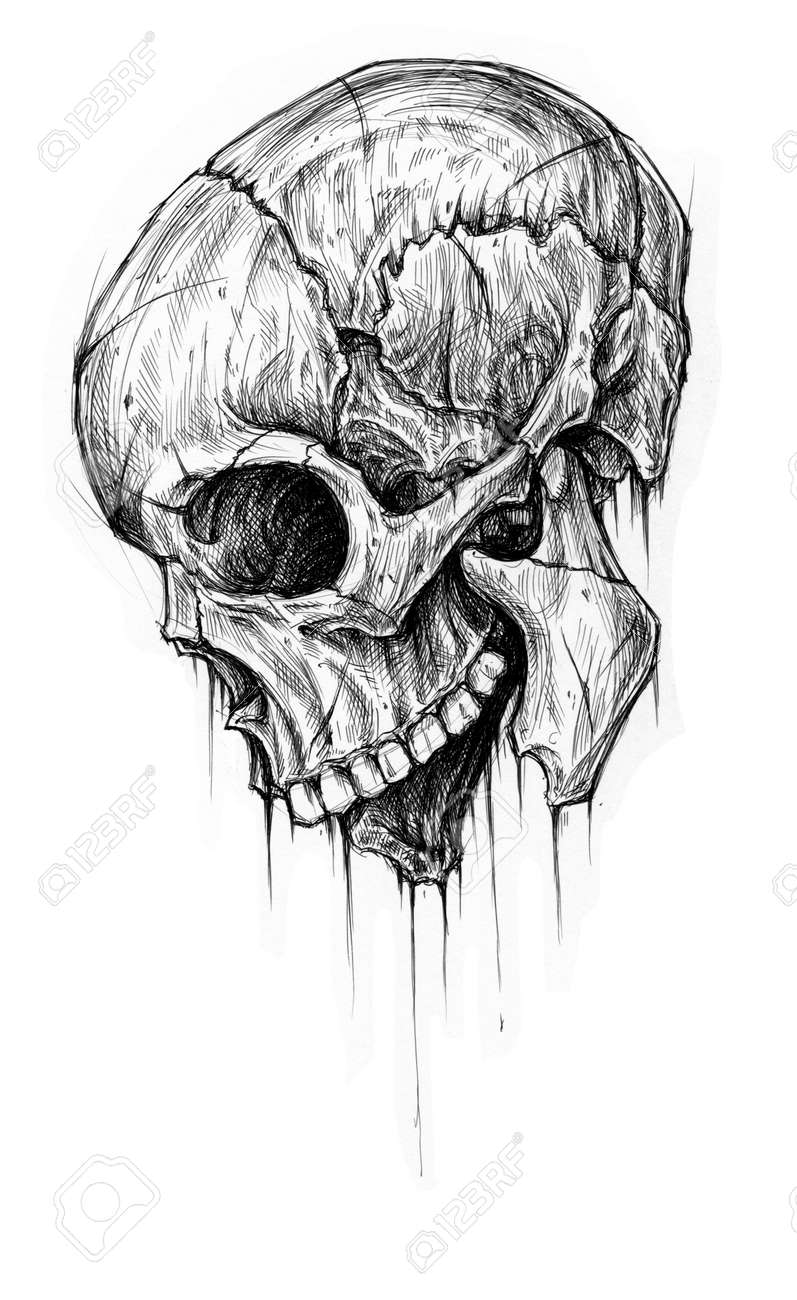 skull traditional ballpoint pen drawing stock photo picture and