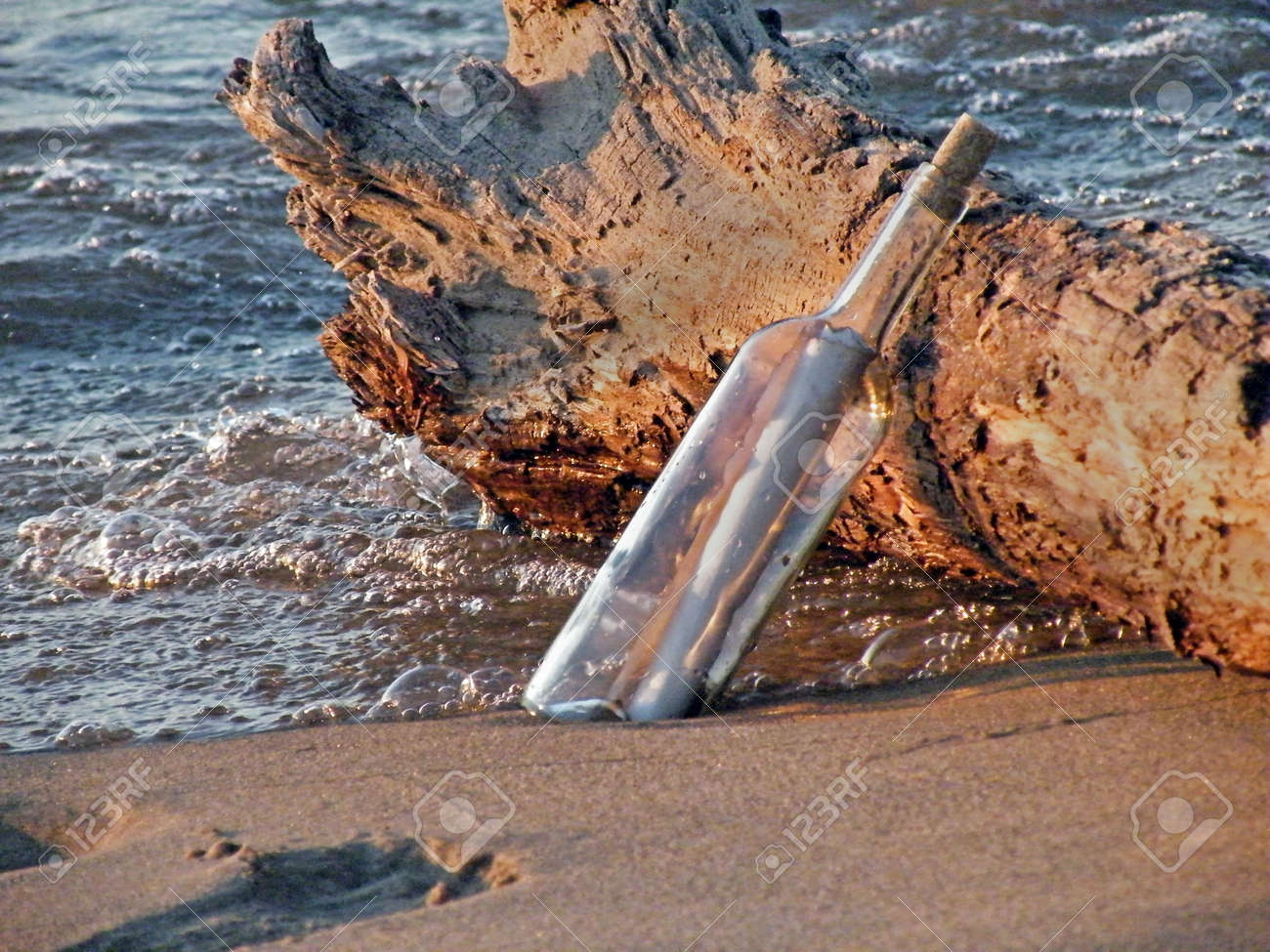 Bottle with message leaning on a driftwood log. - 3425442 Bottle with message leaning on a driftwood log. - 3425442